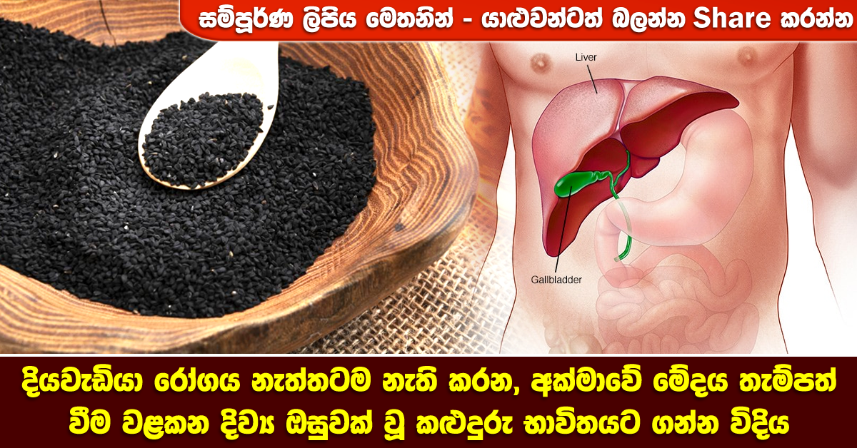 BlackCuminLiver Health & Lifestyle Magazine