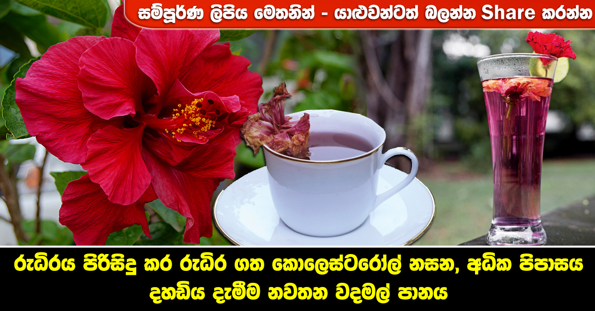 pokuru-wada-mal-drink | Health & Lifestyle Magazine | sriarana.net
