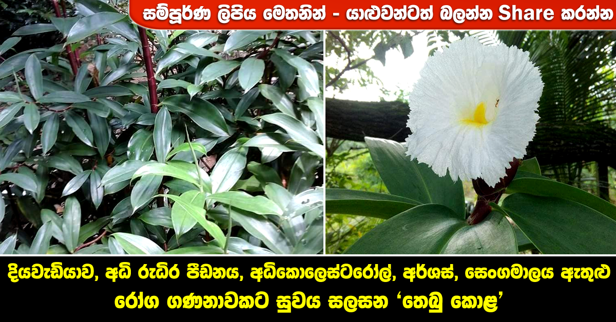 thebukola Health & Lifestyle Magazine