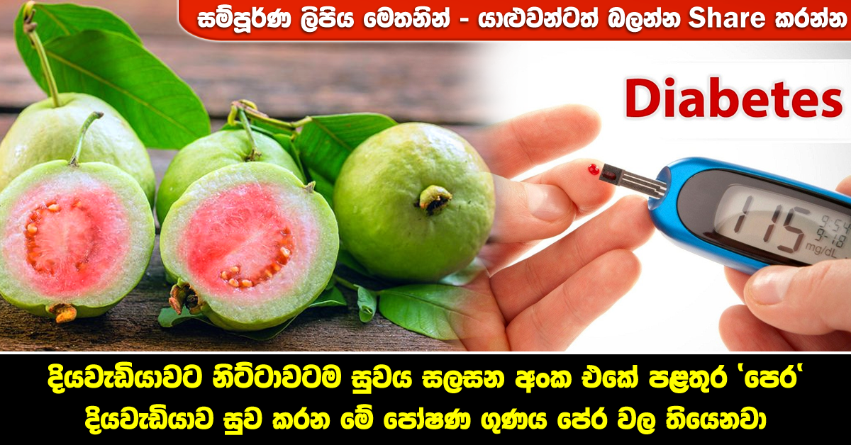 guava fruit for diabetes Health & Lifestyle Magazine