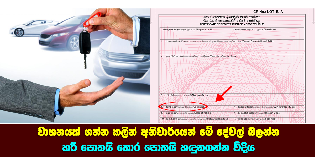 vehicle book Health & Lifestyle Magazine