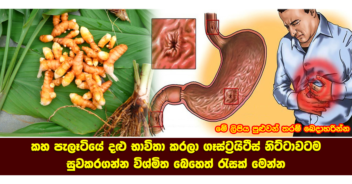 turmerictreegastritis Health & Lifestyle Magazine