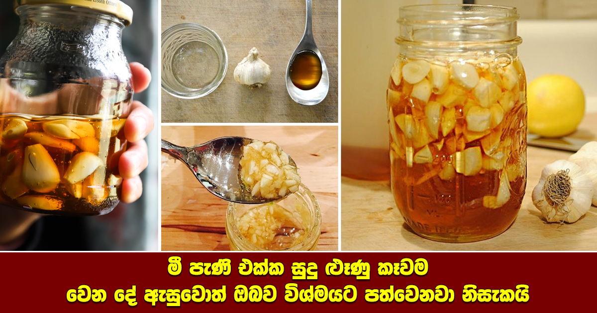 The Incredible Benefits of Garlic and Honey Health & Lifestyle